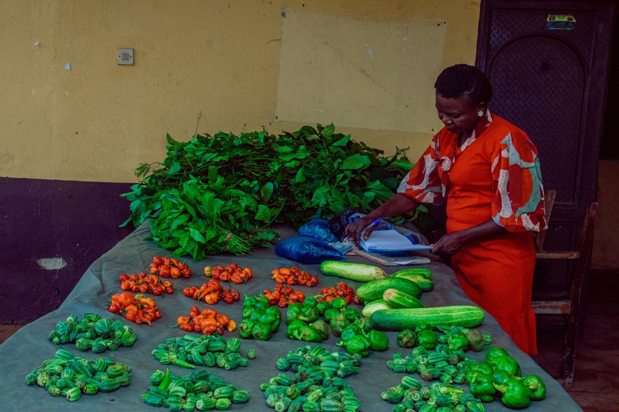 COOU Community Hails Prof. Omenugha as University’s Agriculture Drive Bears Fruit